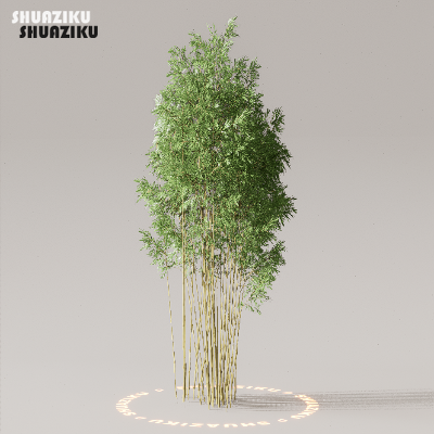 图片[47]-D5渲染器室外植物树木模型下载50个-刷子库