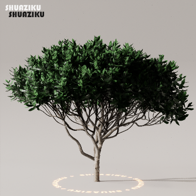 图片[48]-D5渲染器室外植物树木模型下载50个-刷子库