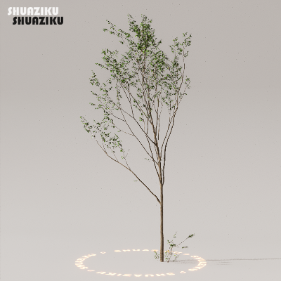 图片[4]-D5渲染器室外植物树木模型50个-刷子库