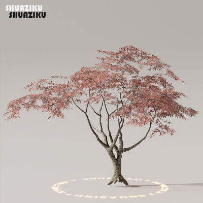 图片[12]-D5渲染器室外植物树木模型50个-刷子库