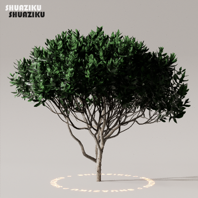 图片[18]-D5渲染器室外植物树木模型50个-刷子库