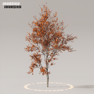 图片[23]-D5渲染器室外植物树木模型50个-刷子库