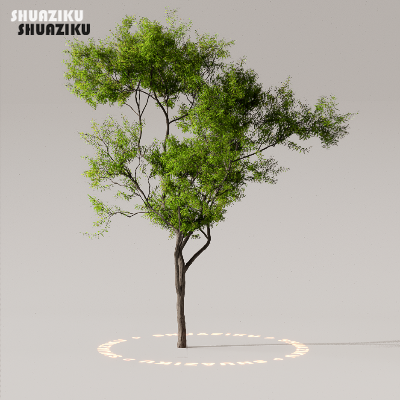 图片[26]-D5渲染器室外植物树木模型50个-刷子库