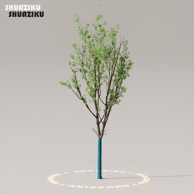 图片[36]-D5渲染器室外植物树木模型50个-刷子库