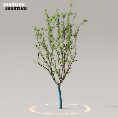 图片[37]-D5渲染器室外植物树木模型50个-刷子库