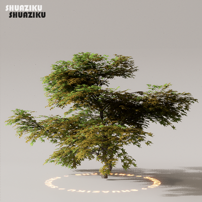 图片[41]-D5渲染器室外植物树木模型50个-刷子库