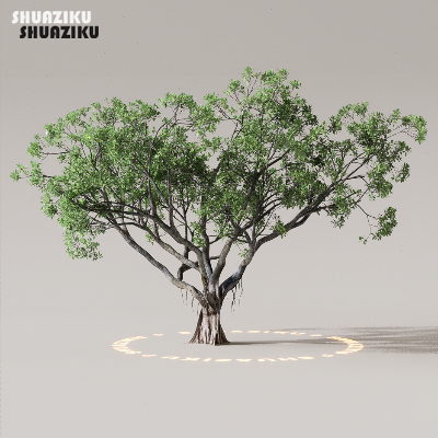 图片[45]-D5渲染器室外植物树木模型50个-刷子库