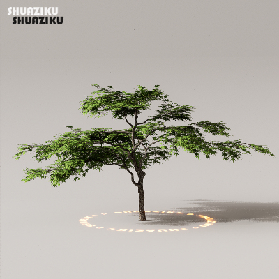 图片[47]-D5渲染器室外植物树木模型50个-刷子库