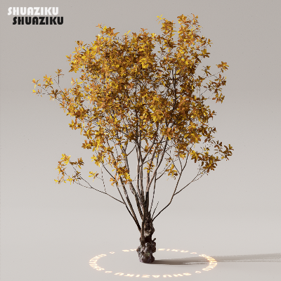 图片[50]-D5渲染器室外植物树木模型50个-刷子库