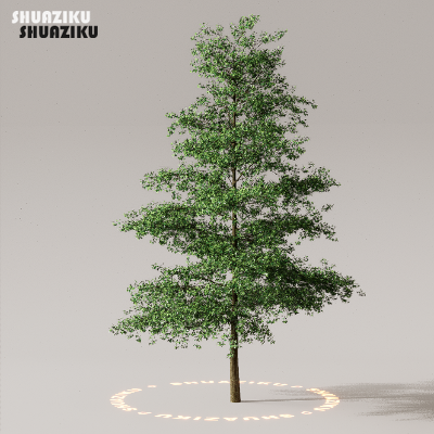 图片[3]-D5渲染器室外植物树木模型50个-刷子库