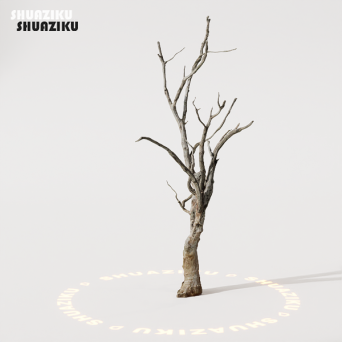 图片[8]-D5渲染器室外植物树木模型50个-刷子库