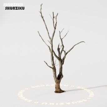 图片[10]-D5渲染器室外植物树木模型50个-刷子库