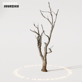 图片[12]-D5渲染器室外植物树木模型50个-刷子库