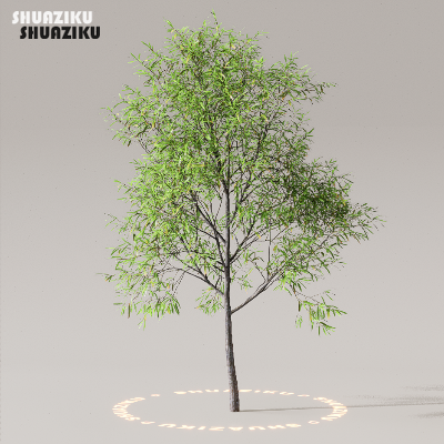 图片[15]-D5渲染器室外植物树木模型50个-刷子库