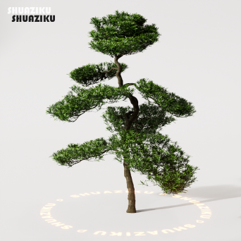 图片[16]-D5渲染器室外植物树木模型50个-刷子库