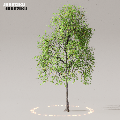 图片[18]-D5渲染器室外植物树木模型50个-刷子库