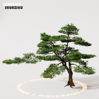 图片[20]-D5渲染器室外植物树木模型50个-刷子库