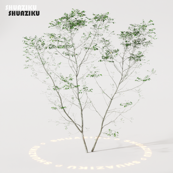 图片[26]-D5渲染器室外植物树木模型50个-刷子库