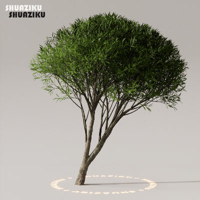 图片[30]-D5渲染器室外植物树木模型50个-刷子库