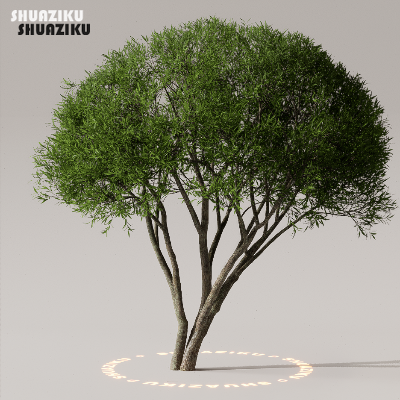 图片[31]-D5渲染器室外植物树木模型50个-刷子库