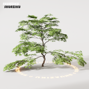 图片[32]-D5渲染器室外植物树木模型50个-刷子库