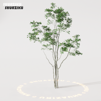 图片[34]-D5渲染器室外植物树木模型50个-刷子库