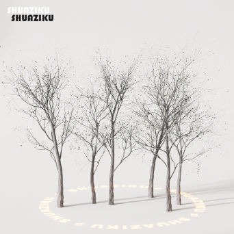 图片[37]-D5渲染器室外植物树木模型50个-刷子库