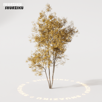 图片[40]-D5渲染器室外植物树木模型50个-刷子库