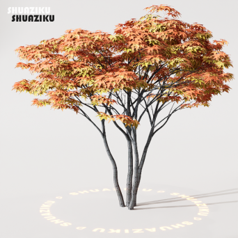 图片[45]-D5渲染器室外植物树木模型50个-刷子库