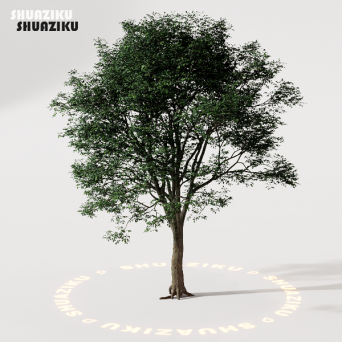 图片[46]-D5渲染器室外植物树木模型50个-刷子库