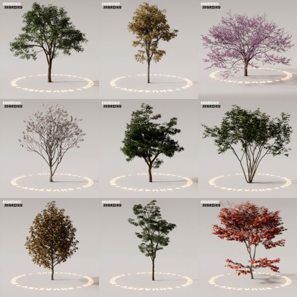 D5渲染器室外植物树木模型下载88个-刷子库