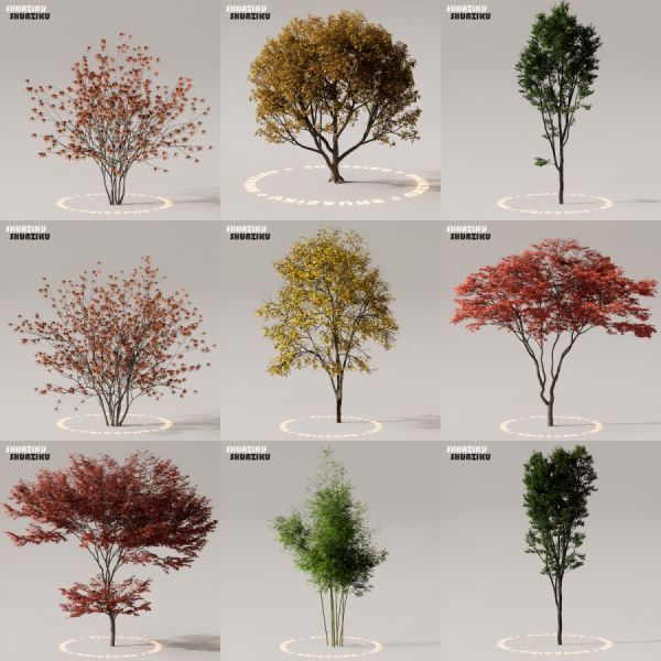 D5渲染器室外植物树木模型下载50个-刷子库