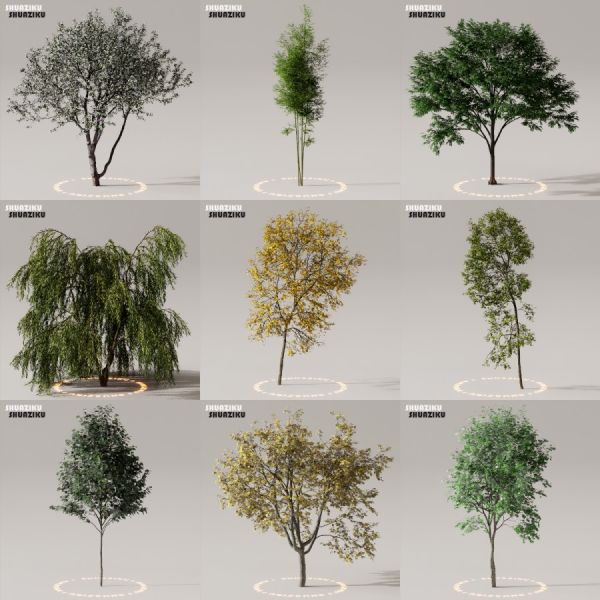 D5渲染器室外植物树木模型下载50个-刷子库