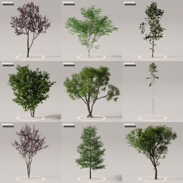 D5渲染器室外植物树木模型下载50个-刷子库