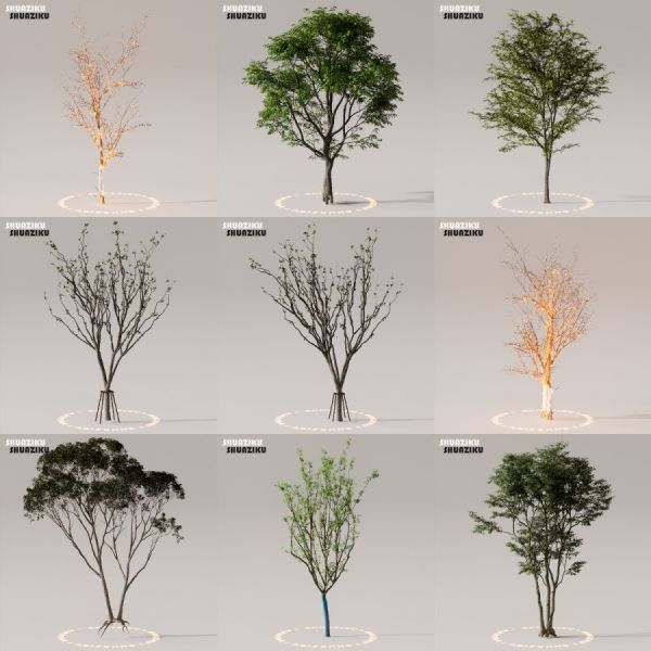 D5渲染器室外植物树木模型下载50个-刷子库