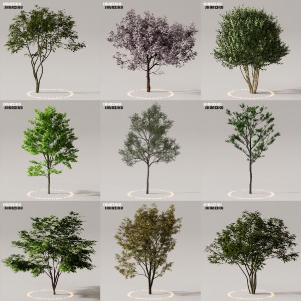 D5渲染器室外植物树木模型下载50个-刷子库