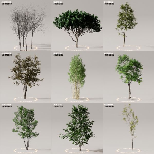 D5渲染器室外植物树木模型下载50个-刷子库