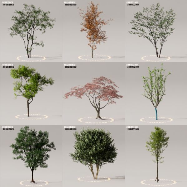 D5渲染器室外植物树木模型50个-刷子库