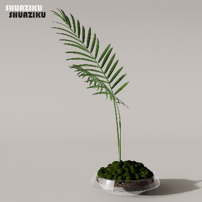 图片[1]-D5渲染器苔藓小品摆件模型29个-刷子库