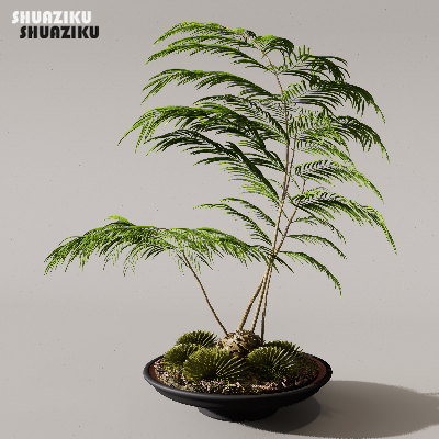 图片[4]-D5渲染器苔藓小品摆件模型29个-刷子库