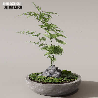 图片[8]-D5渲染器苔藓小品摆件模型29个-刷子库