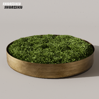 图片[9]-D5渲染器苔藓小品摆件模型29个-刷子库