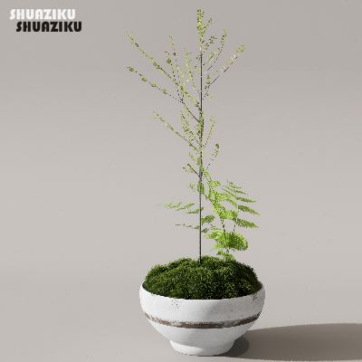 图片[12]-D5渲染器苔藓小品摆件模型29个-刷子库