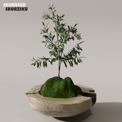 图片[14]-D5渲染器苔藓小品摆件模型29个-刷子库