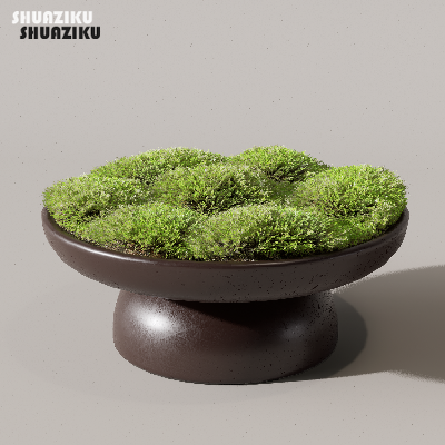 图片[15]-D5渲染器苔藓小品摆件模型29个-刷子库