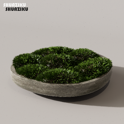图片[16]-D5渲染器苔藓小品摆件模型29个-刷子库