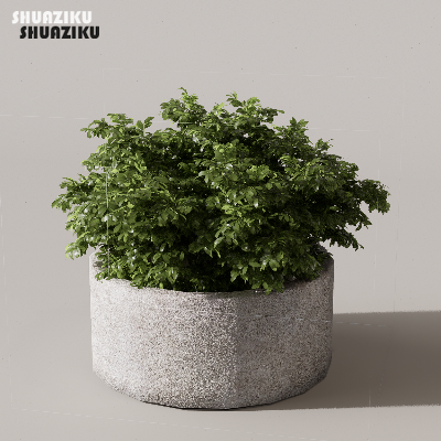 图片[17]-D5渲染器苔藓小品摆件模型29个-刷子库