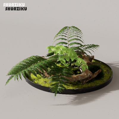 图片[19]-D5渲染器苔藓小品摆件模型29个-刷子库