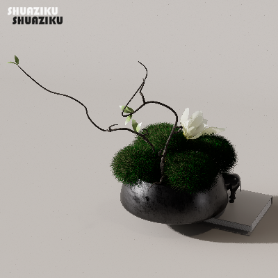 图片[21]-D5渲染器苔藓小品摆件模型29个-刷子库