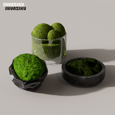 图片[24]-D5渲染器苔藓小品摆件模型29个-刷子库